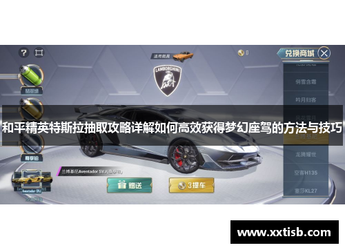 和平精英特斯拉抽取攻略详解如何高效获得梦幻座驾的方法与技巧